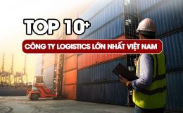 Công ty Logistics lớn nhất Việt Nam